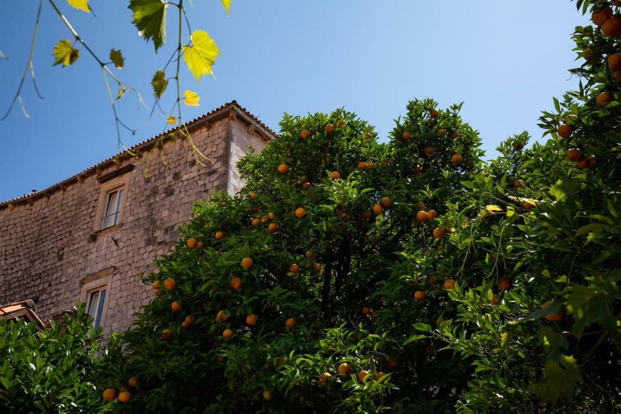 Apartman Jelena Apartment Dubrovnik Exterior photo
