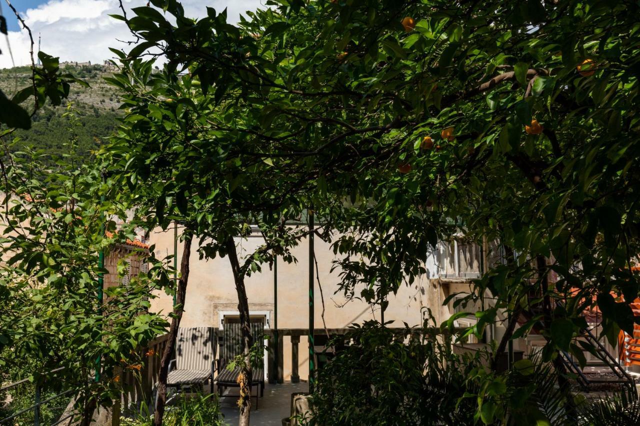Apartman Jelena Apartment Dubrovnik Exterior photo